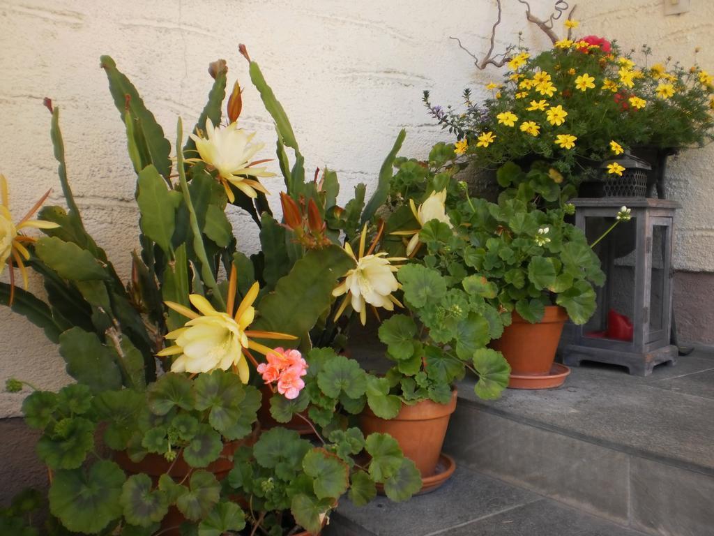 Haus Schoenleiten Wagrain Dış mekan fotoğraf
